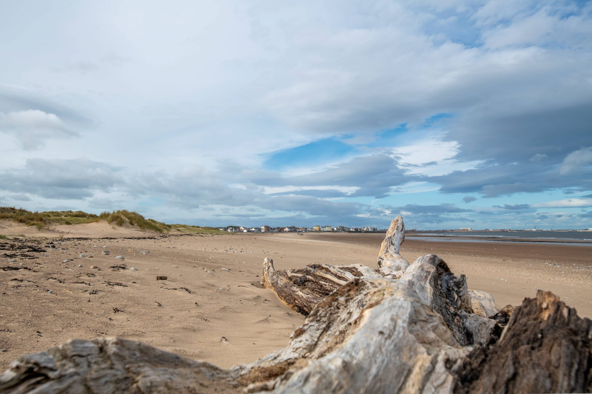 Hartlepool Beach / Life's A Beach. The Driftwood Lectures... : 05 ...