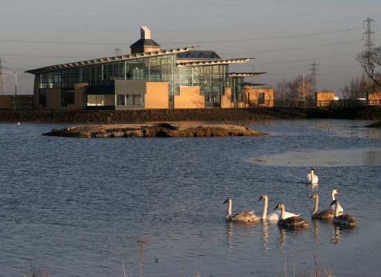 Saltholme