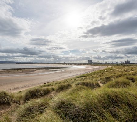 Seaton Beach - MRes