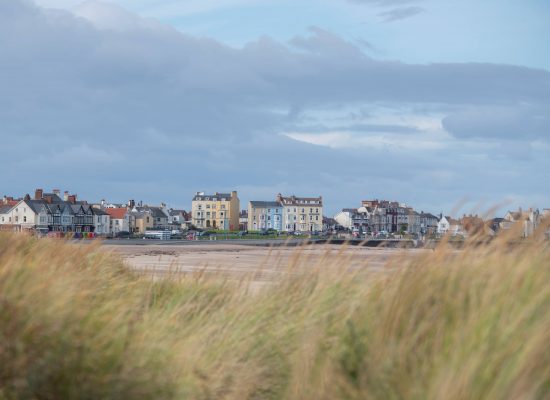 Seaton Dunes - MRes