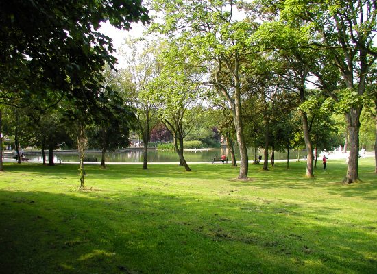 park7