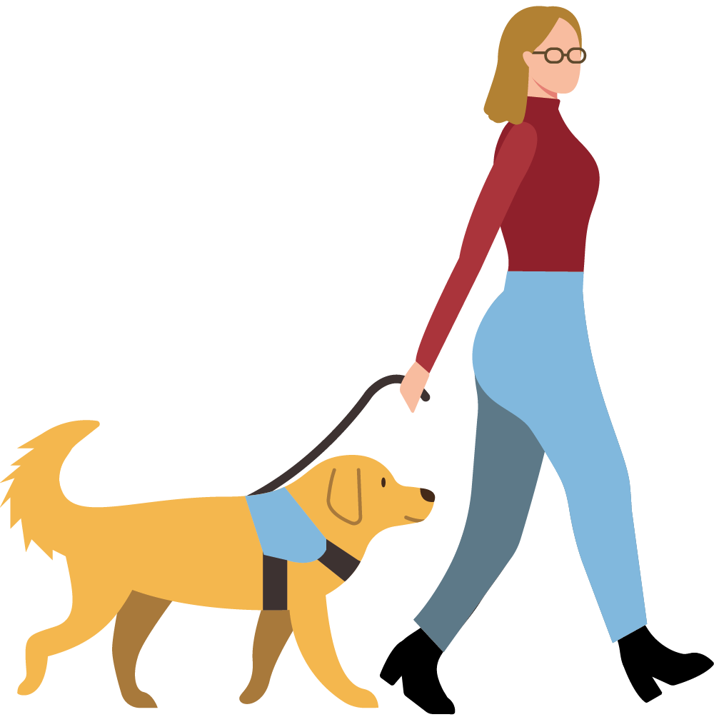 Illustration of a woman with glasses wearing a red top and blue pants walking confidently while holding the harness of a yellow guide dog wearing a blue harness.