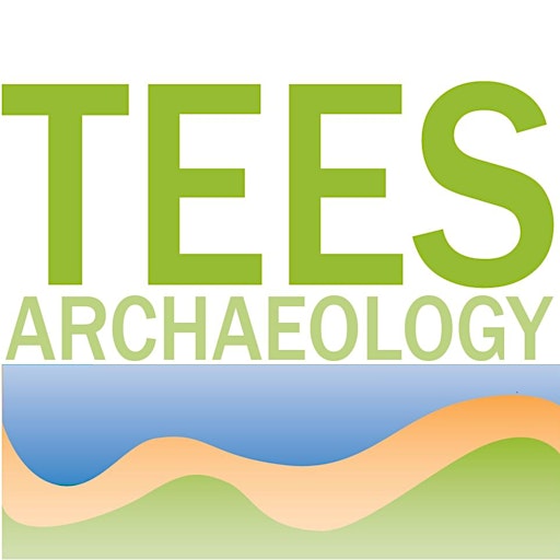 Logo for Tees Archaeology featuring large green text TEES above smaller green text ARCHAEOLOGY, with a stylized wavy landscape in blue, tan, and green underneath.