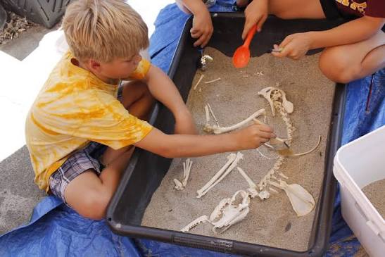A child brushes sand off an animal skeleton in a plastic bin, while another child uses a small red shovel. Both are engaged in a hands-on excavation activity.
