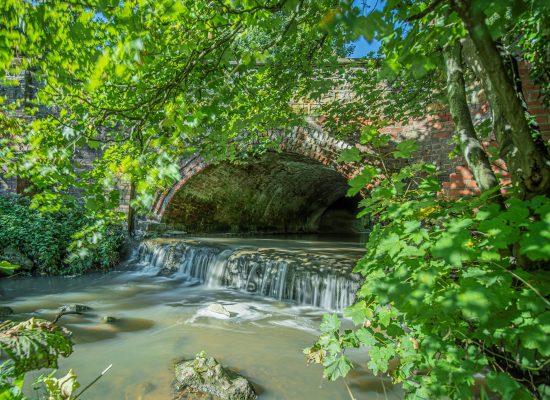 Dalton_Piercy - MRes