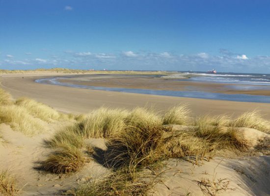 Sandy dunes with tall grass overlook a wide, empty beach and gentle waves under a clear blue sky.