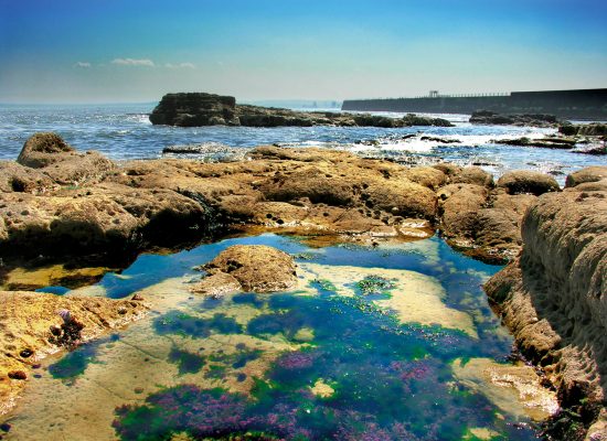 TheHeughbeach5-JC110506